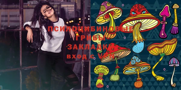 jwh Бородино
