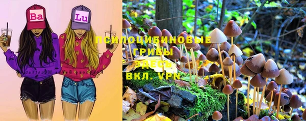 jwh Бородино