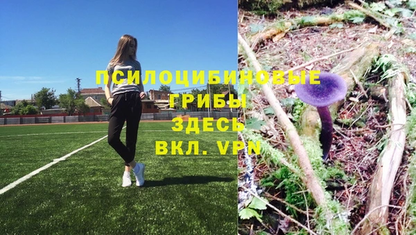 ALPHA PVP Бронницы